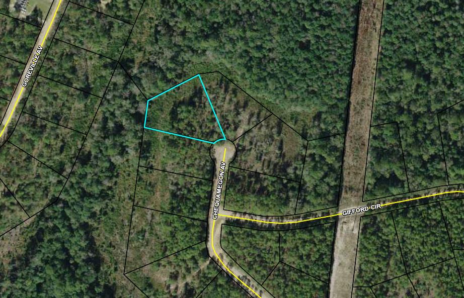 Lot For Sale Compass Lake Jackson FL 1.250 acres, ATV, Camping
