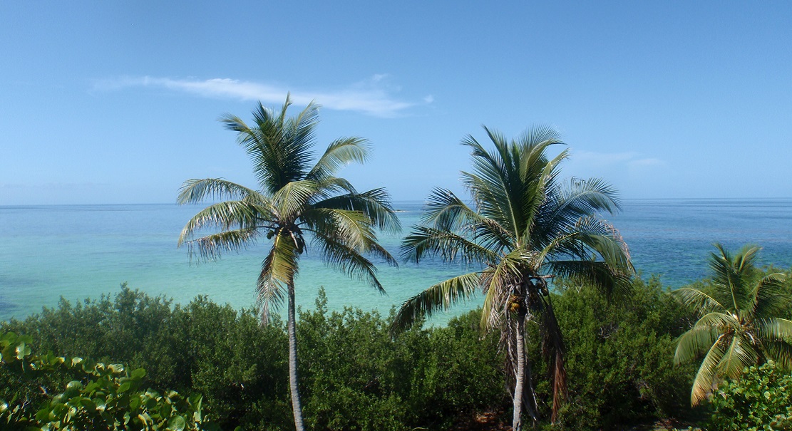 Lot For Sale Port Malabar Brevard FL 0.240 acres, ATV, Camping, Fully Cleared, Paved