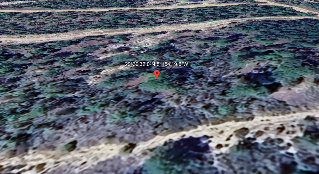 Slide 8